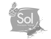 Sol Fruit Drink Logo
